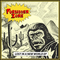 FORBIDDEN ZONE - Lost In A New Word K7